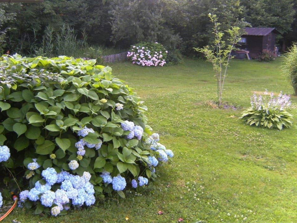 Haus Ramusch Apartment in Carinthia, Austria