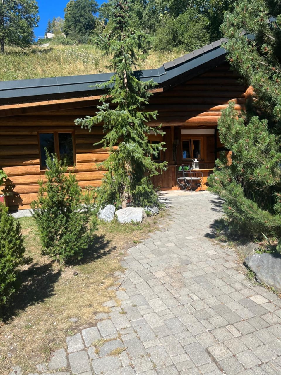Chalet Les Rindes Chalet in Nendaz