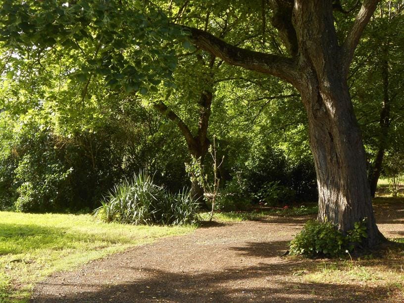 Garden view