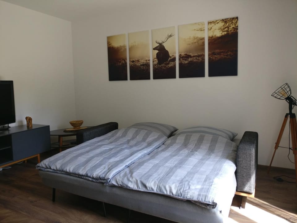 Bed, Photo of the whole room