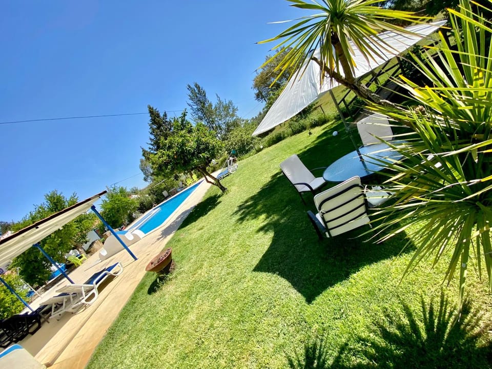 Spring, Garden, Swimming pool, sunbed