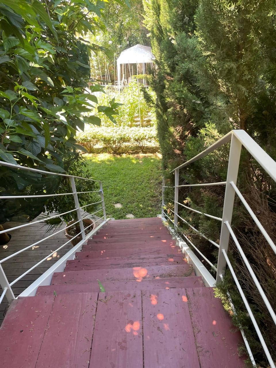 Garden view