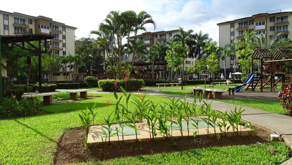 Garden view