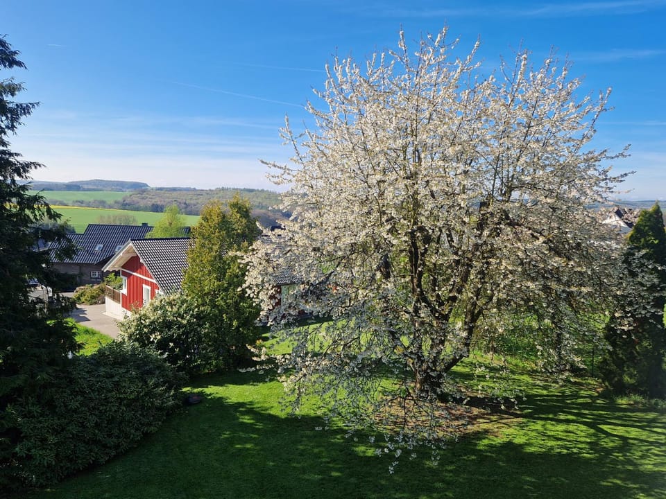 Spring, Natural landscape, Garden view