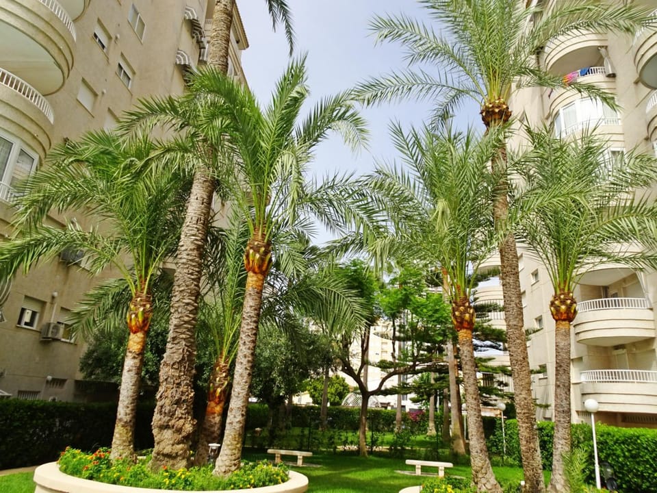 Garden, Garden view