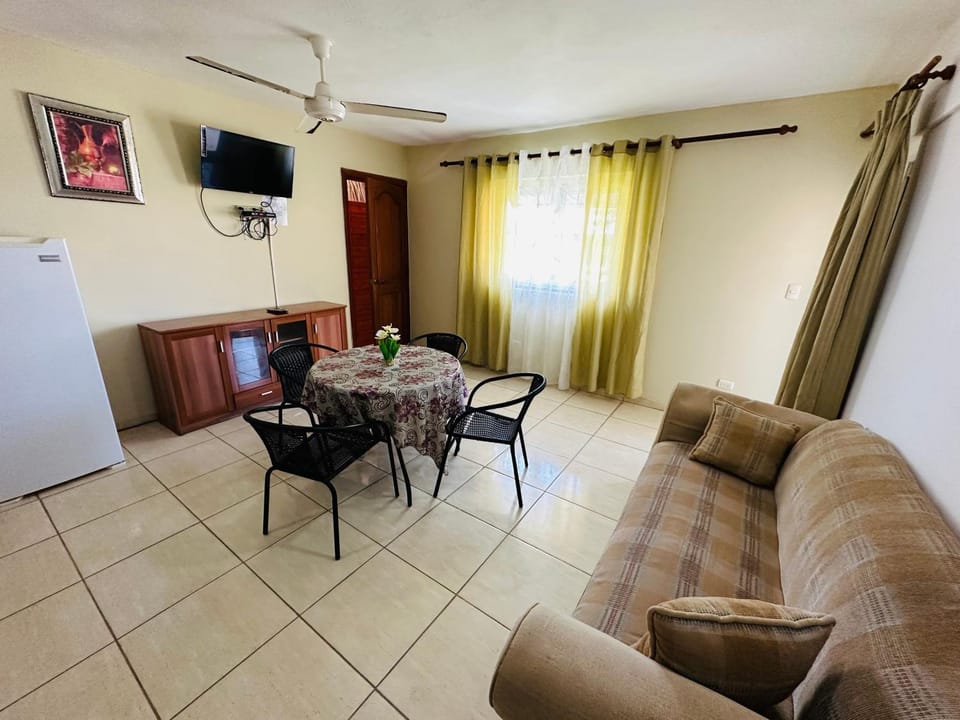 Communal lounge/ TV room, Kitchen or kitchenette, Dining area, air conditioner