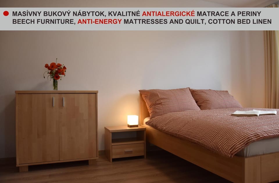 ELEMIR Apartment in Slovakia