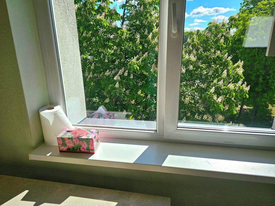 Apartamentai 76 Apartment in Lithuania