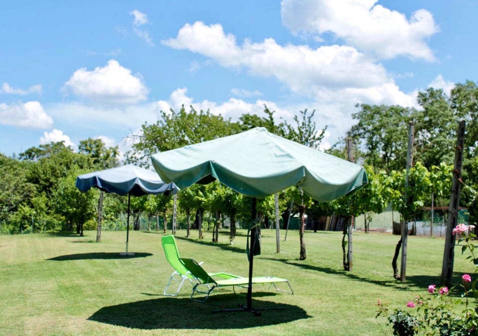Property building, Garden, Garden