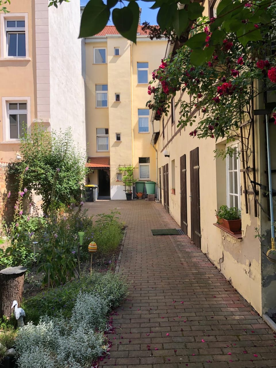 Property building, Patio, Garden