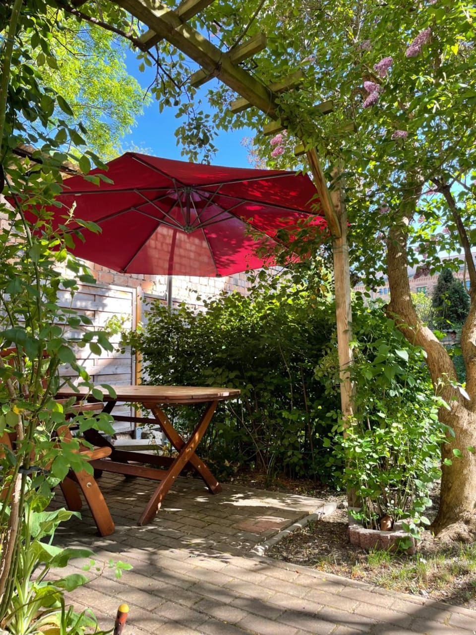 Patio, Garden