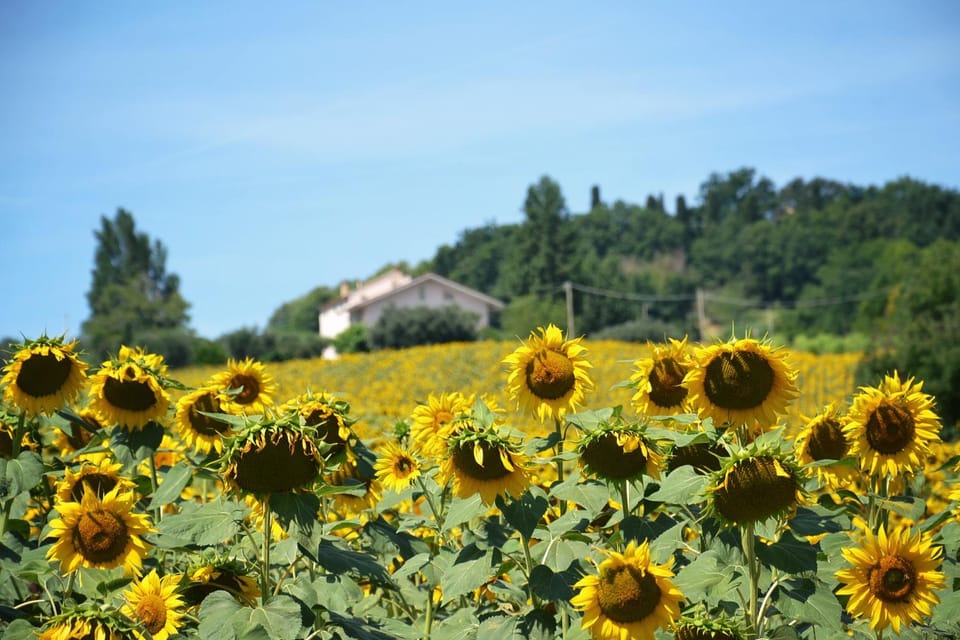 LE PIUME B&B Bed and Breakfast in Umbria