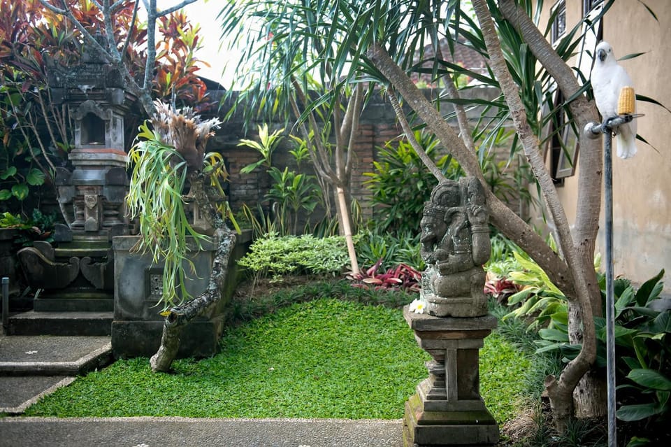 Day, Garden, Garden view