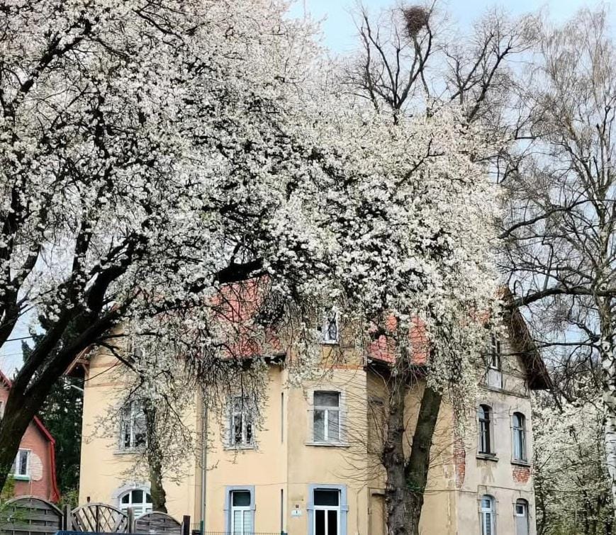 Dom otwarty Vacation rental in Lower Silesian Voivodeship