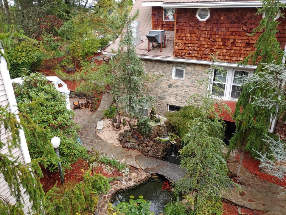 Garden view
