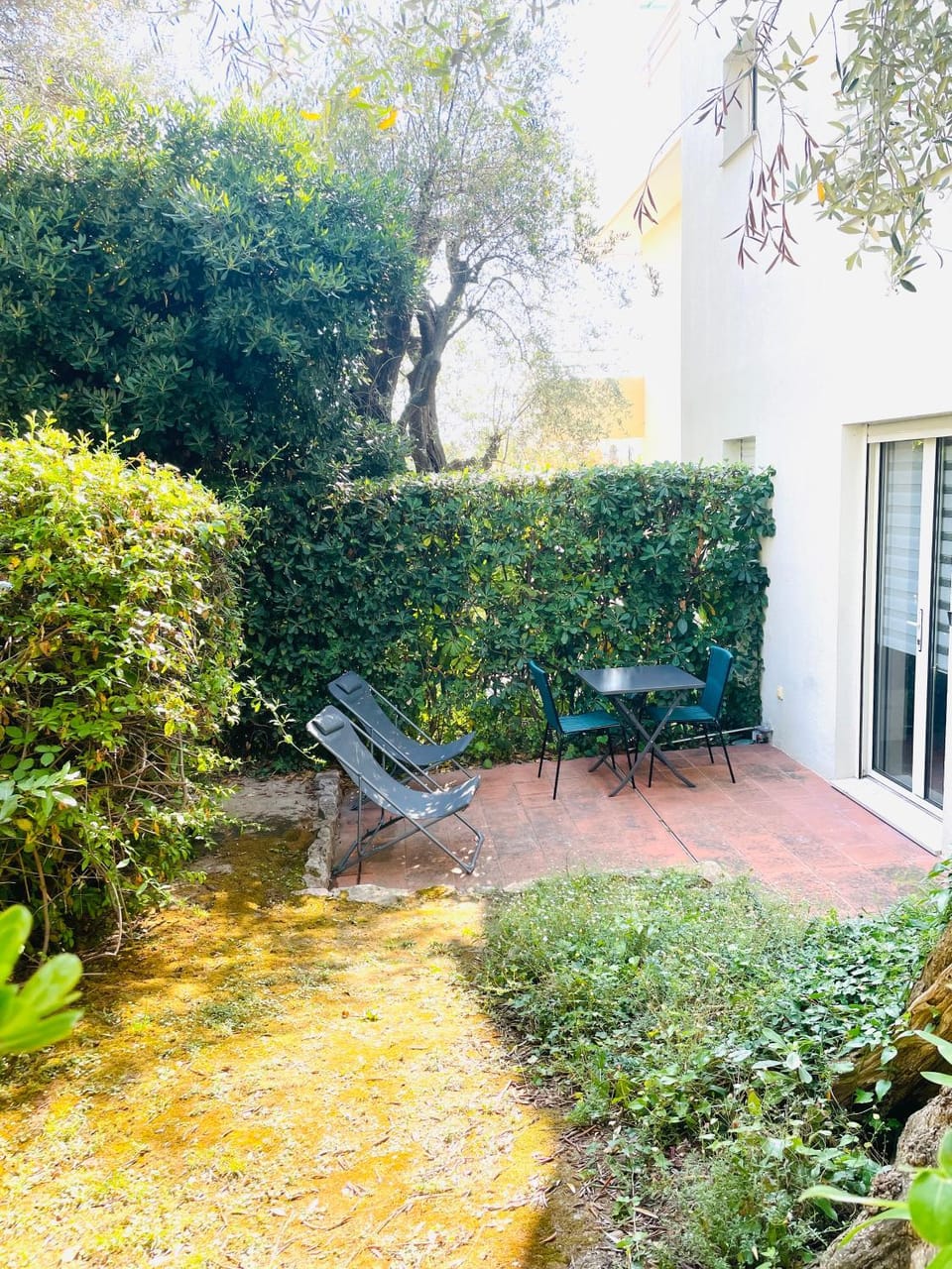 Patio, Garden, Dining area, Garden view