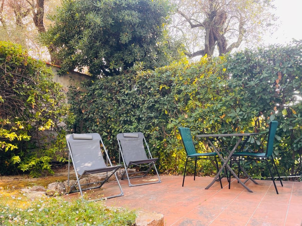 Patio, Garden, Garden view, sunbed
