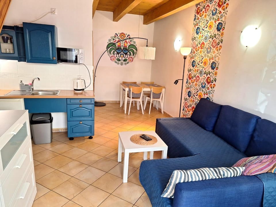 Kitchen or kitchenette, Living room, Seating area, Dining area, stove