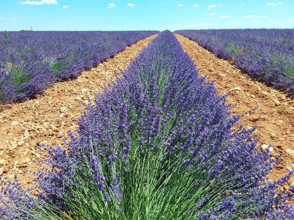 Natural landscape, Hiking
