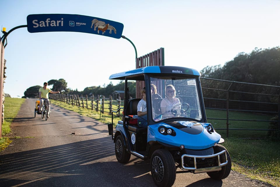 People, Activities, Animals, Entertainment, children