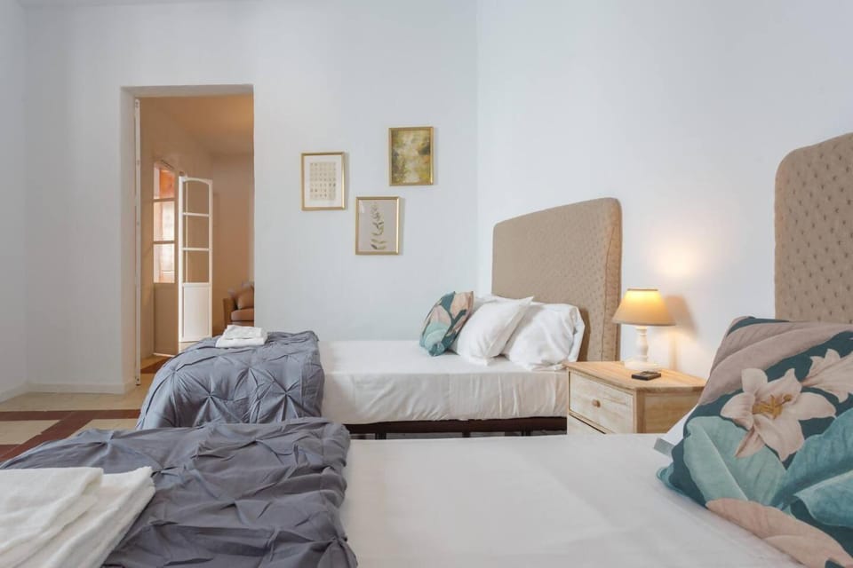 SH La Casa del Loro. Amplio apartamento. Apartment in Cadiz