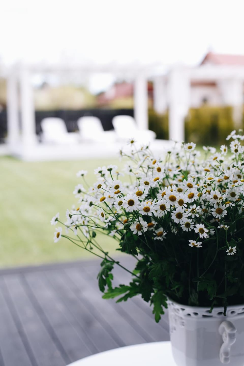 Patio, Balcony/Terrace