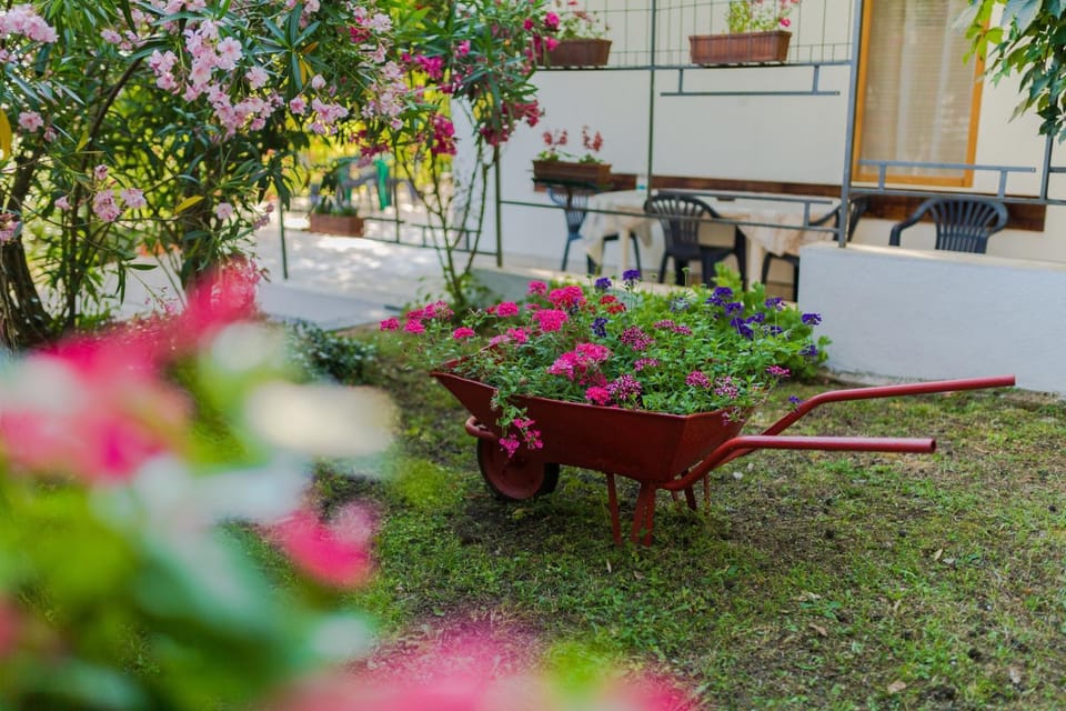 Garden, Garden