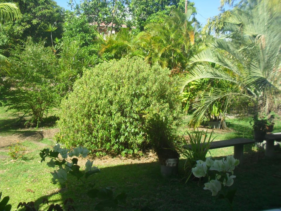 Garden, Garden view