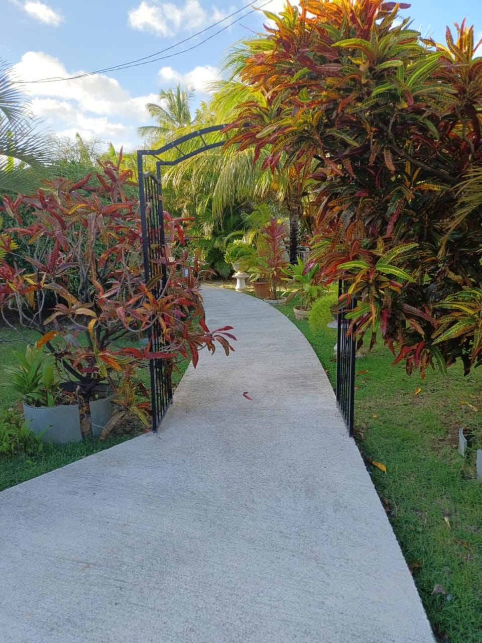 Natural landscape