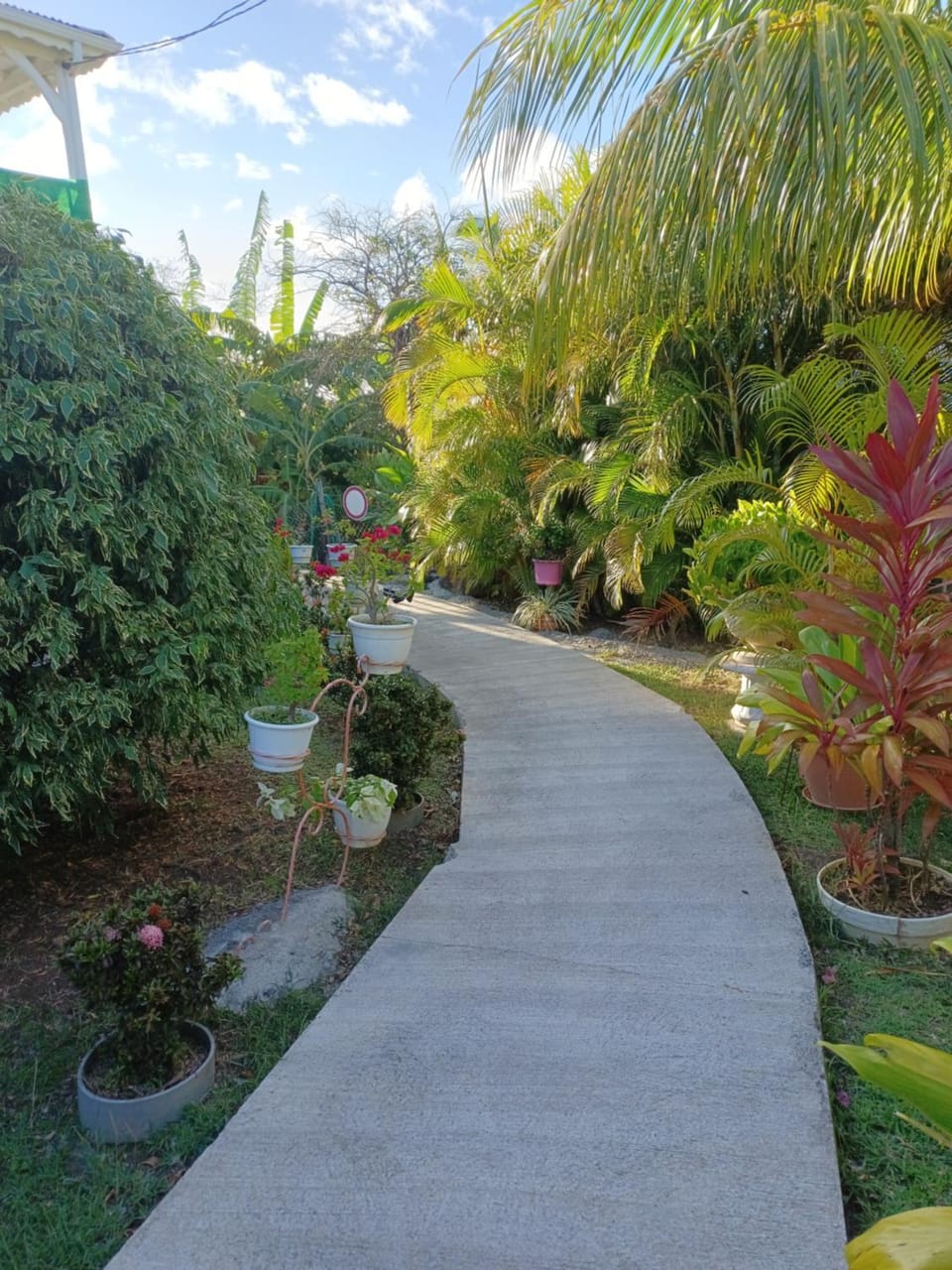 Natural landscape, Garden