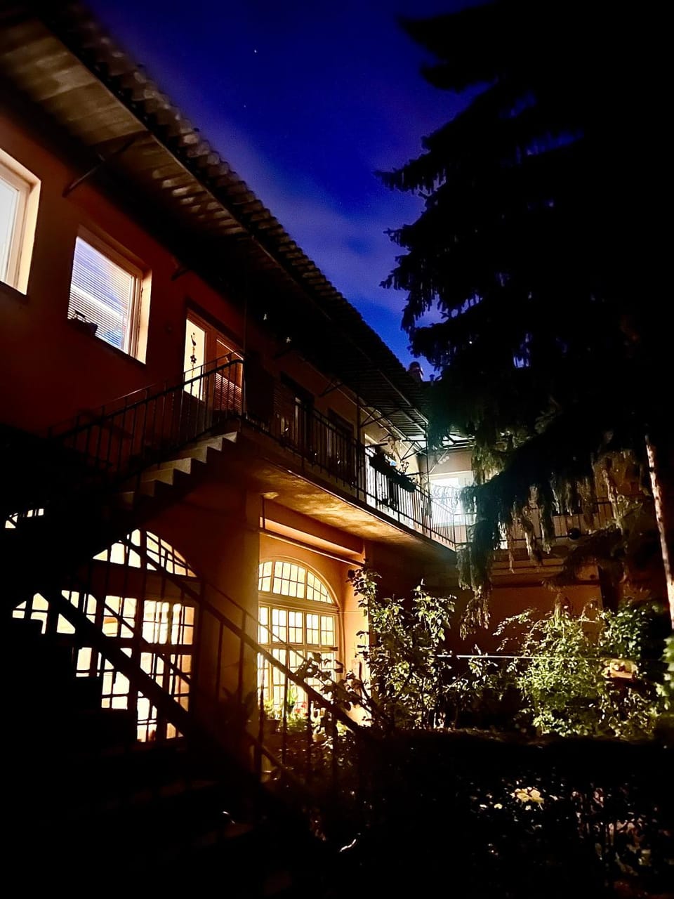 Night, Garden view