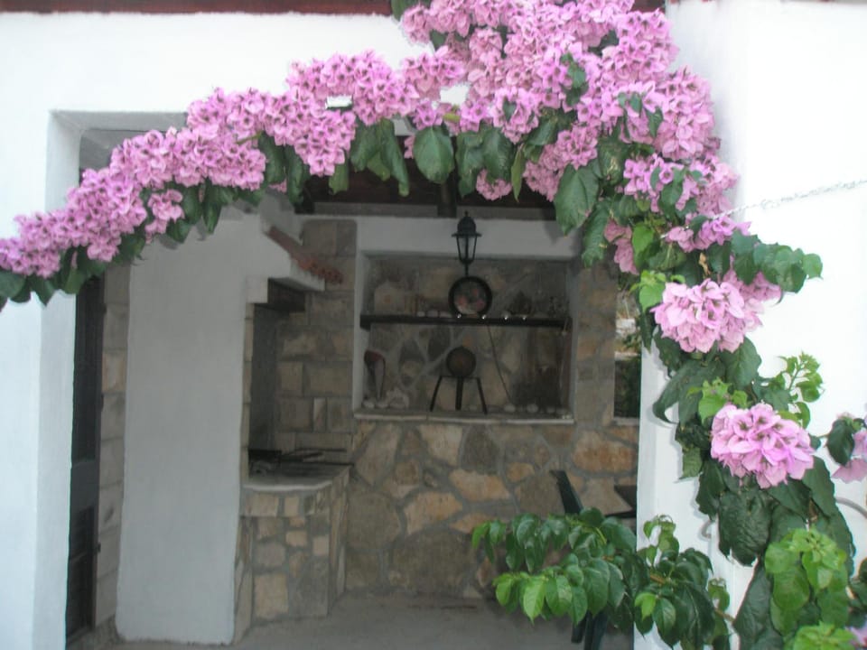 BBQ facilities, Other