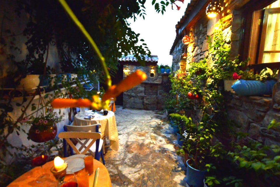 Sirincem Pension Vacation rental in Aydın Province