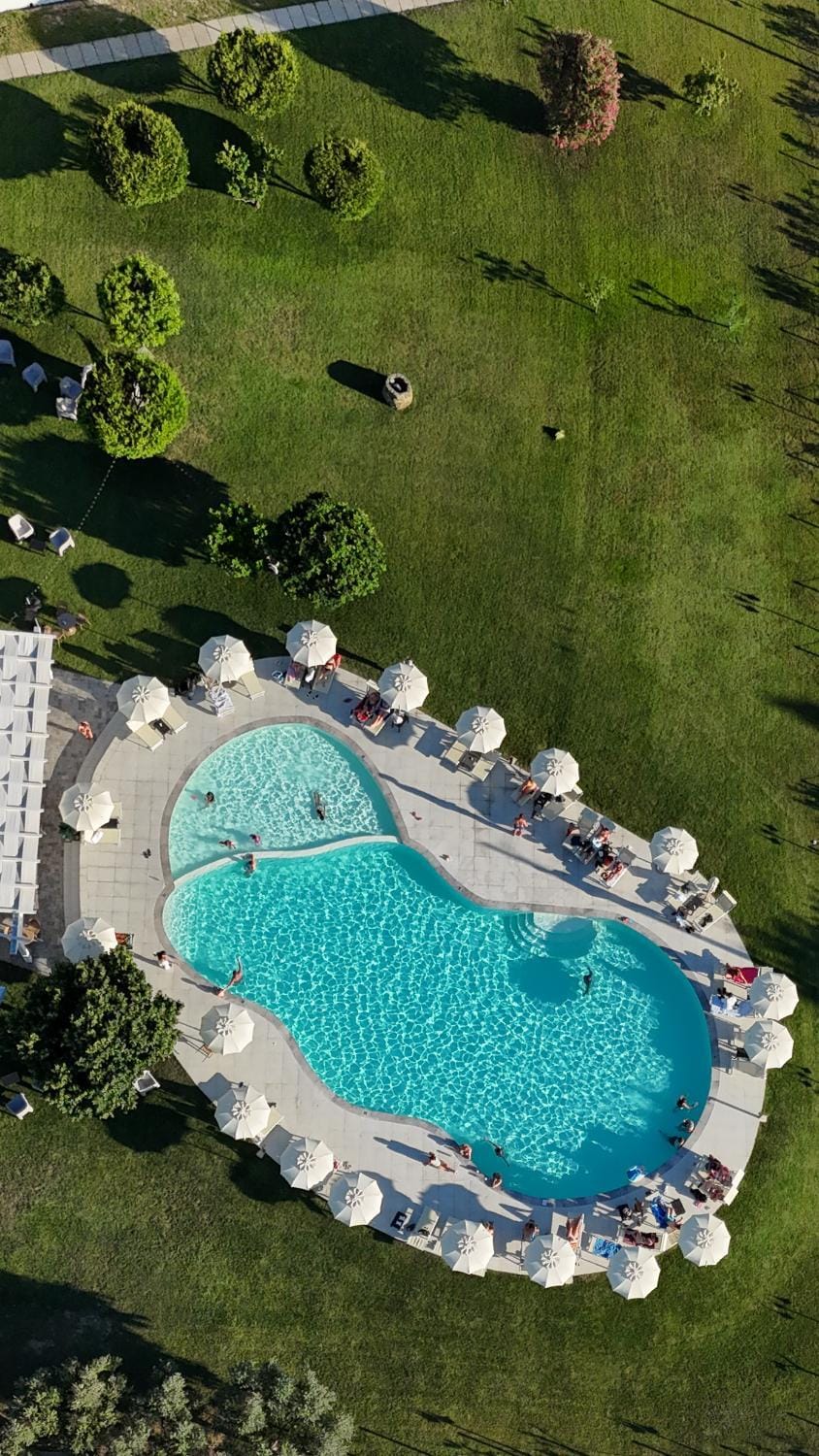Natural landscape, Garden, Garden view, Pool view, Swimming pool