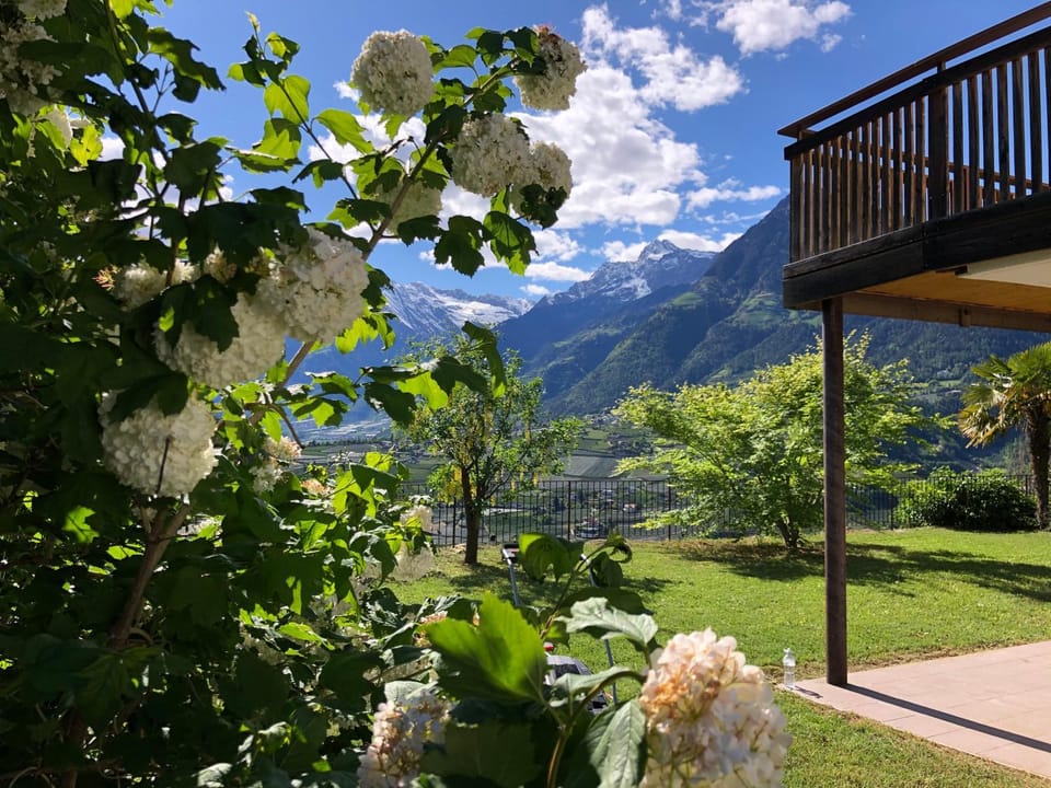 Garden, Balcony/Terrace