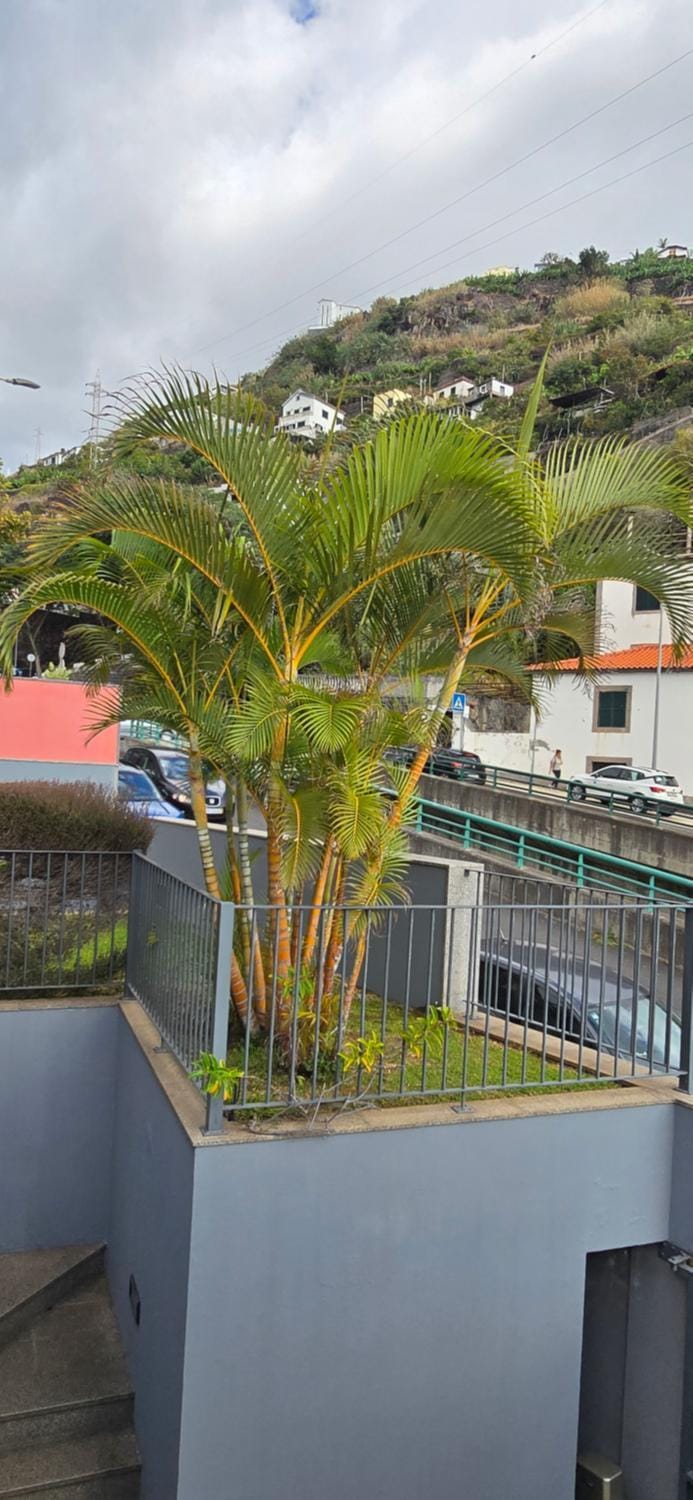 Casa da Praia House in Madeira District