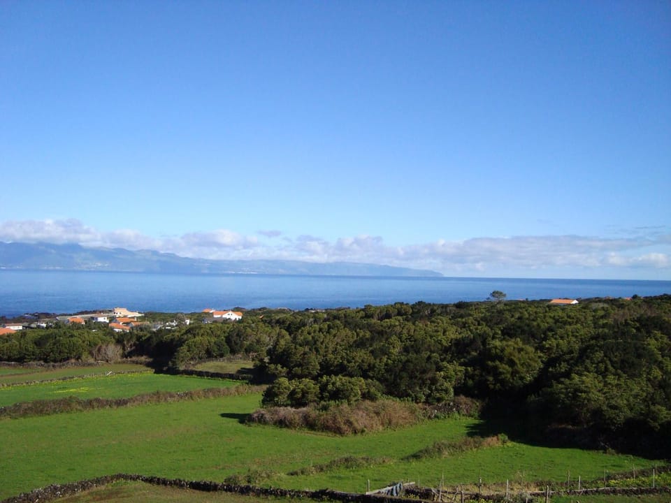 View (from property/room), Garden view