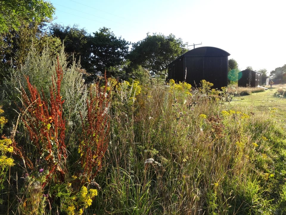 The Oaks Glamping - Pips Cabin Cabin in Breckland District