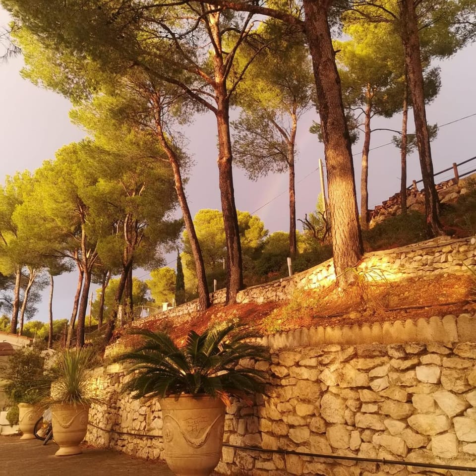 Garden, Garden view