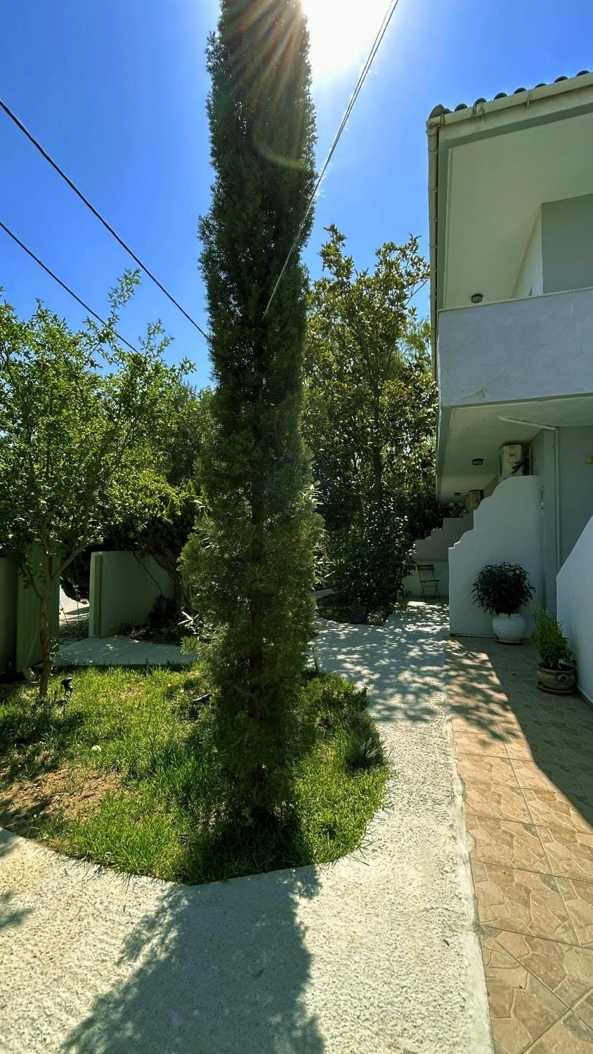 Property building, Garden