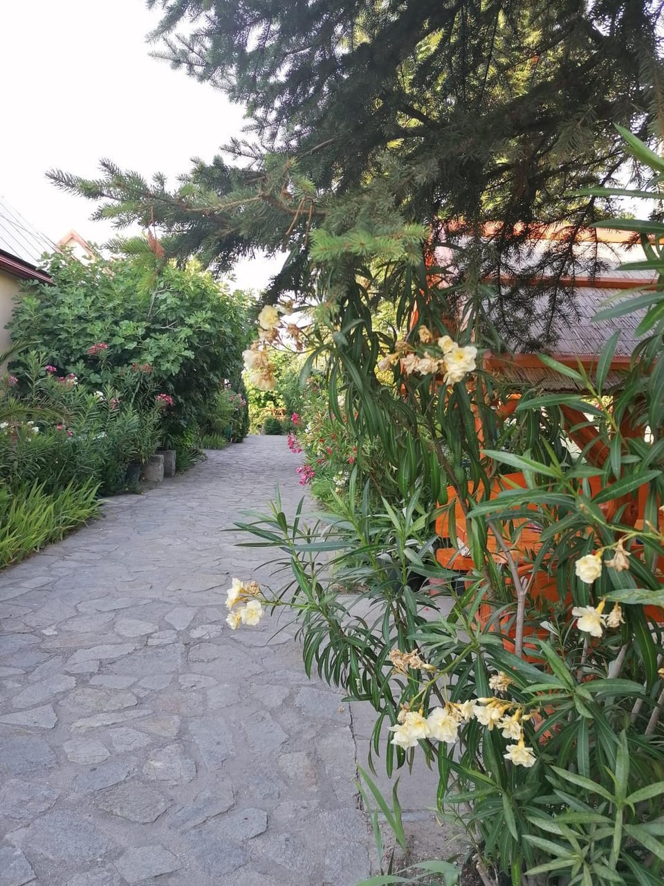 Property building, Garden