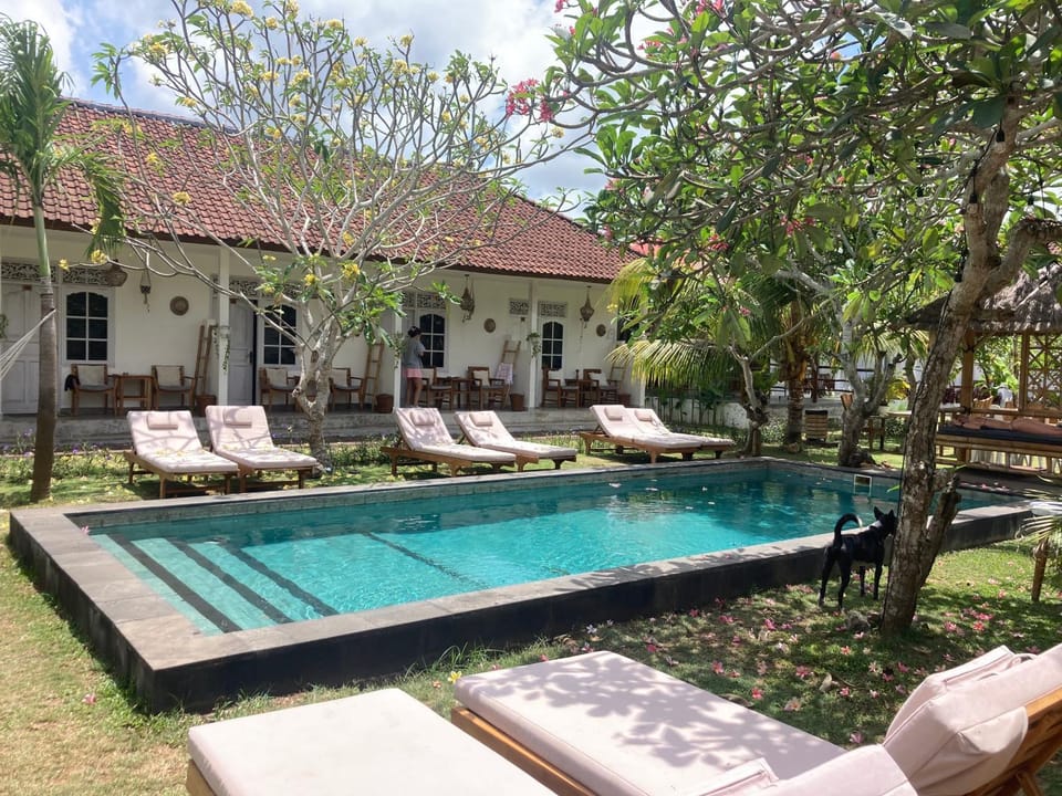 Swimming pool