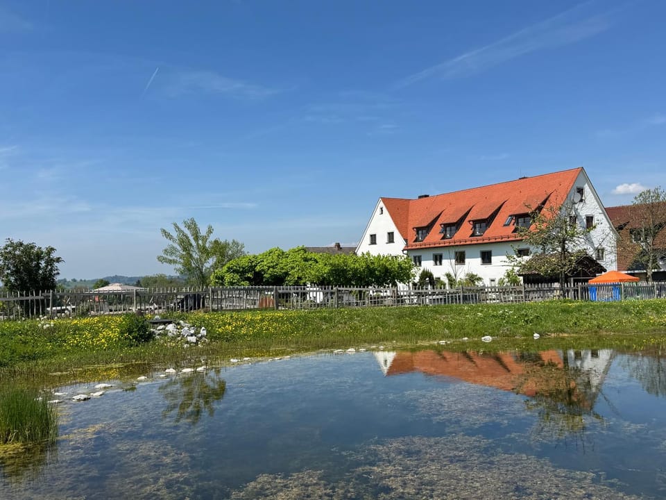 Property building, Garden, Garden view