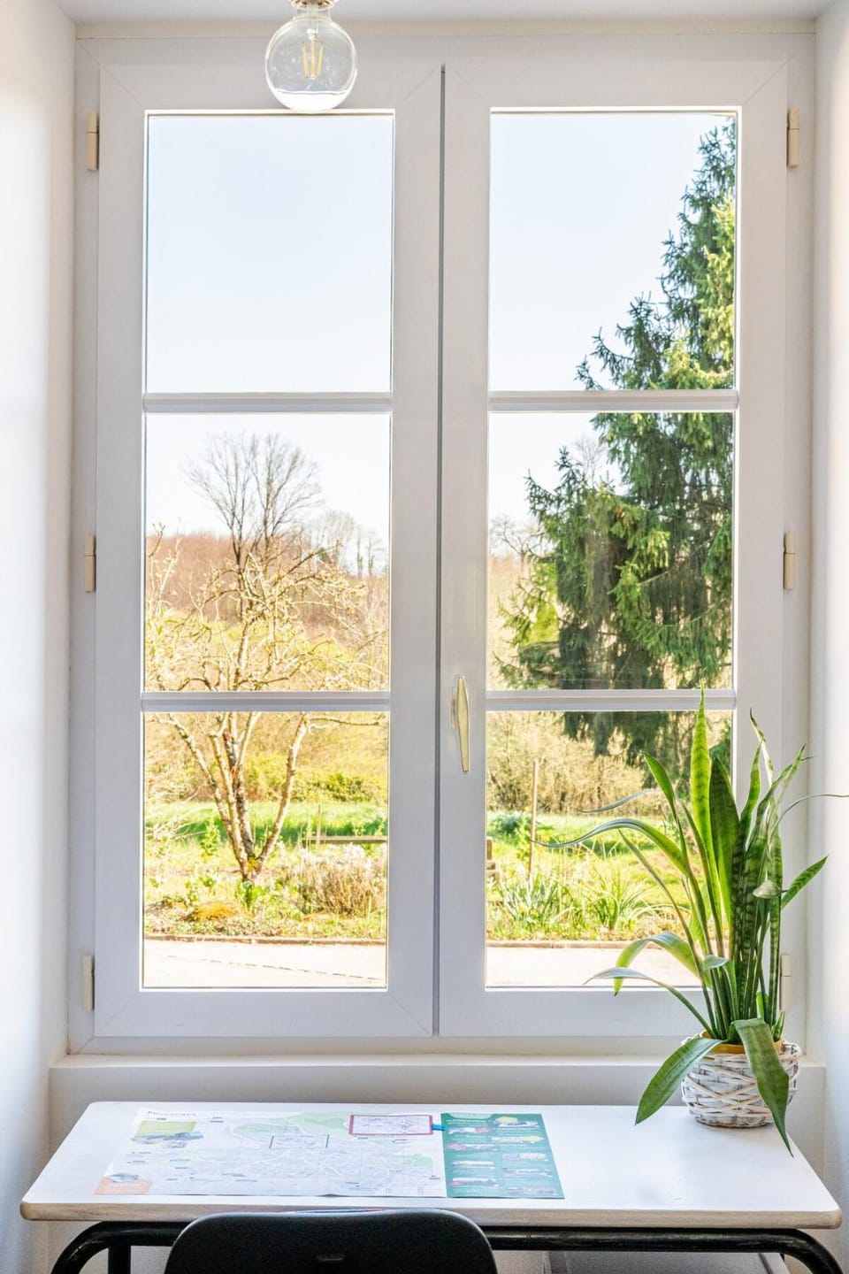 Garden view