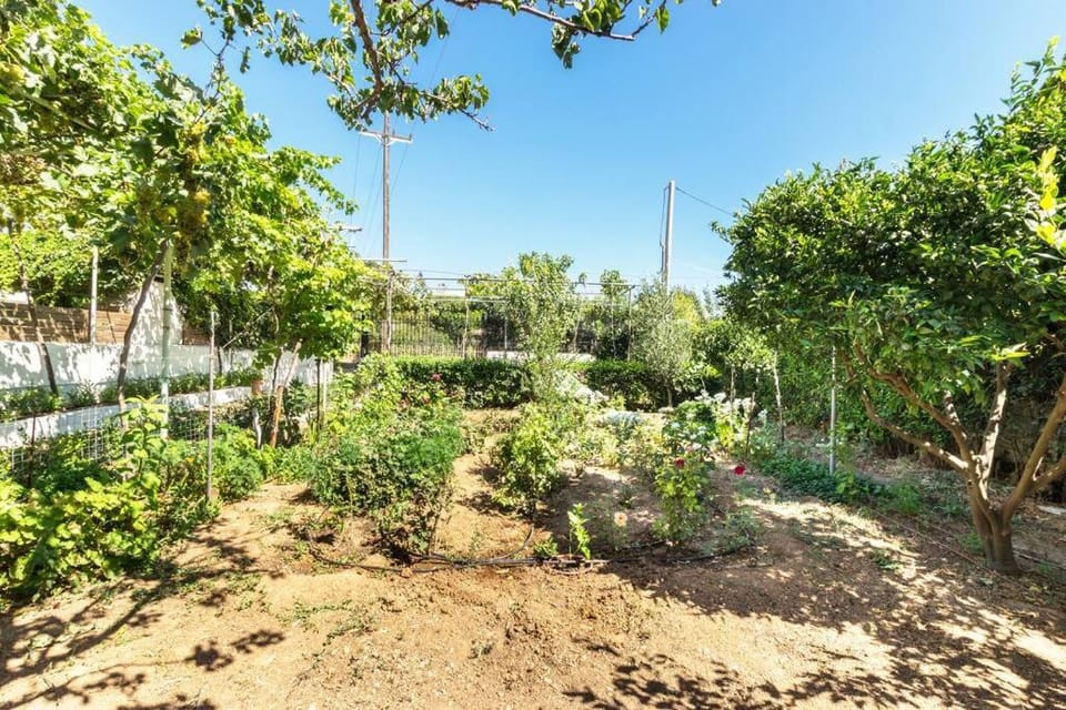 Οικια Elisabeth Apartment in East Attica Regional Unit, Greece