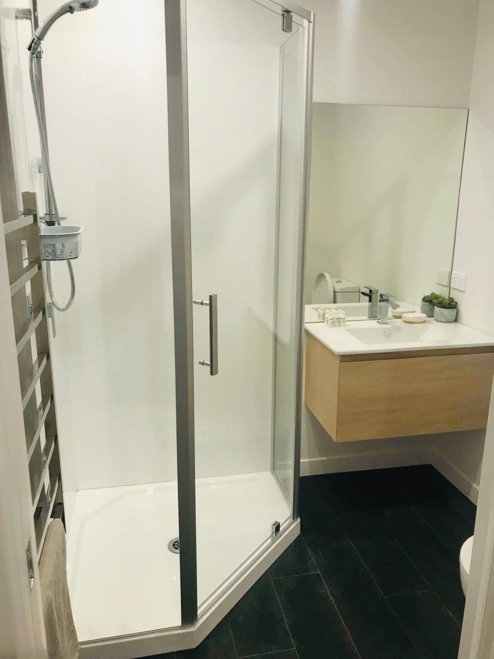 Central Park Gemini Apartments Apartment in Hamilton