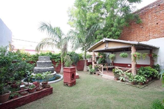 Garden