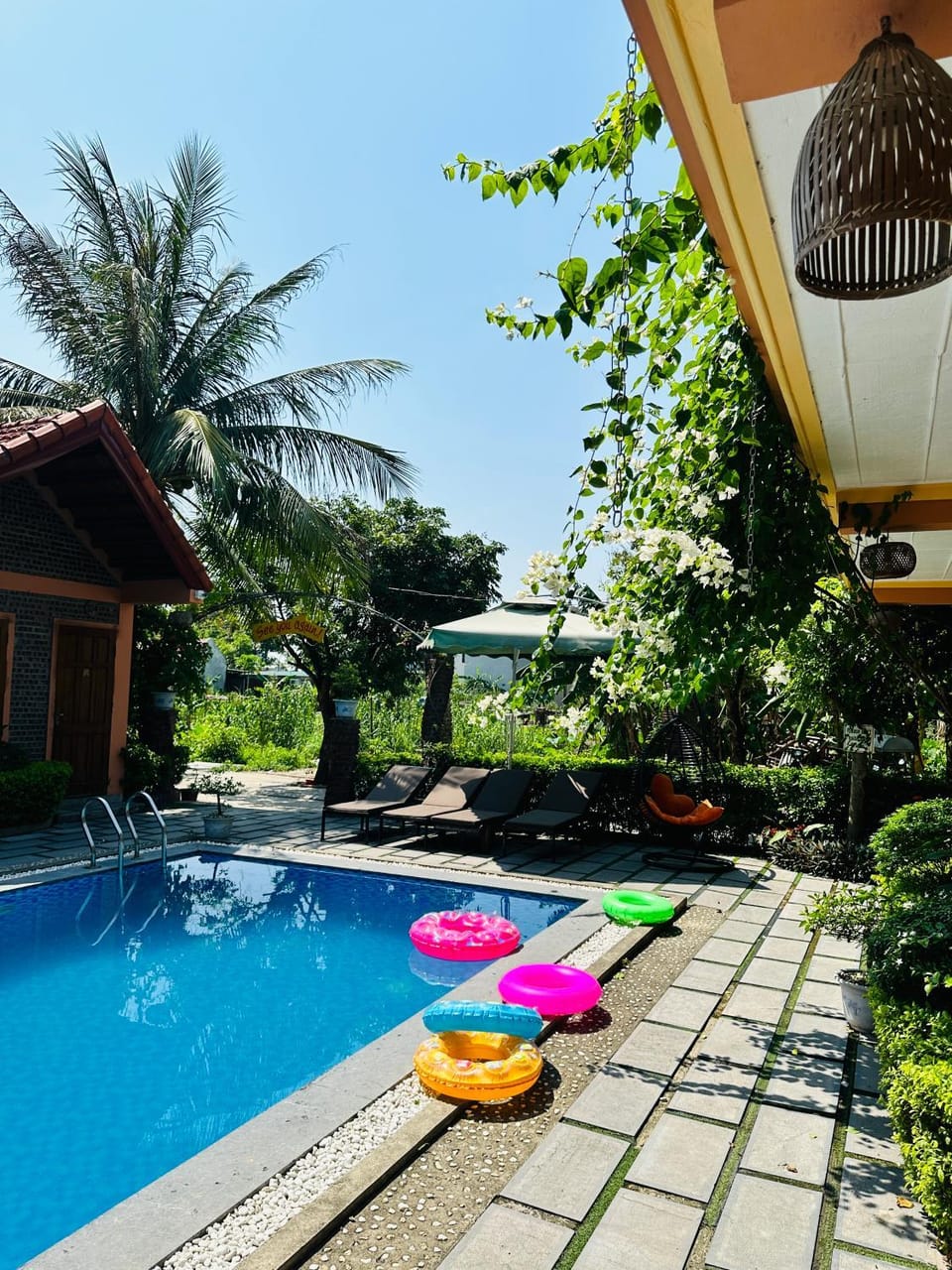 Pool view, Swimming pool