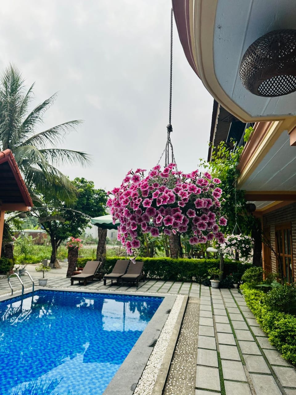 Patio, Garden