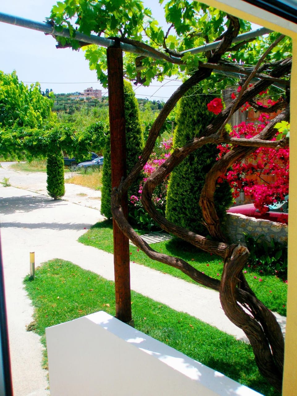 Garden, Area and facilities